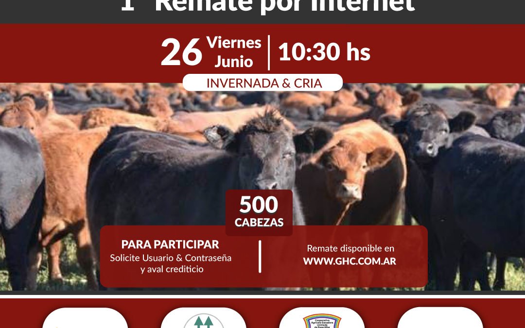 1° Remate por Internet
