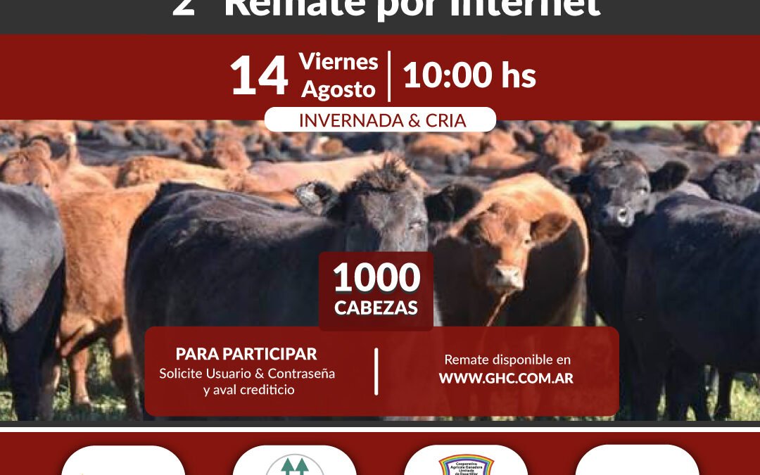2° Remate por Internet