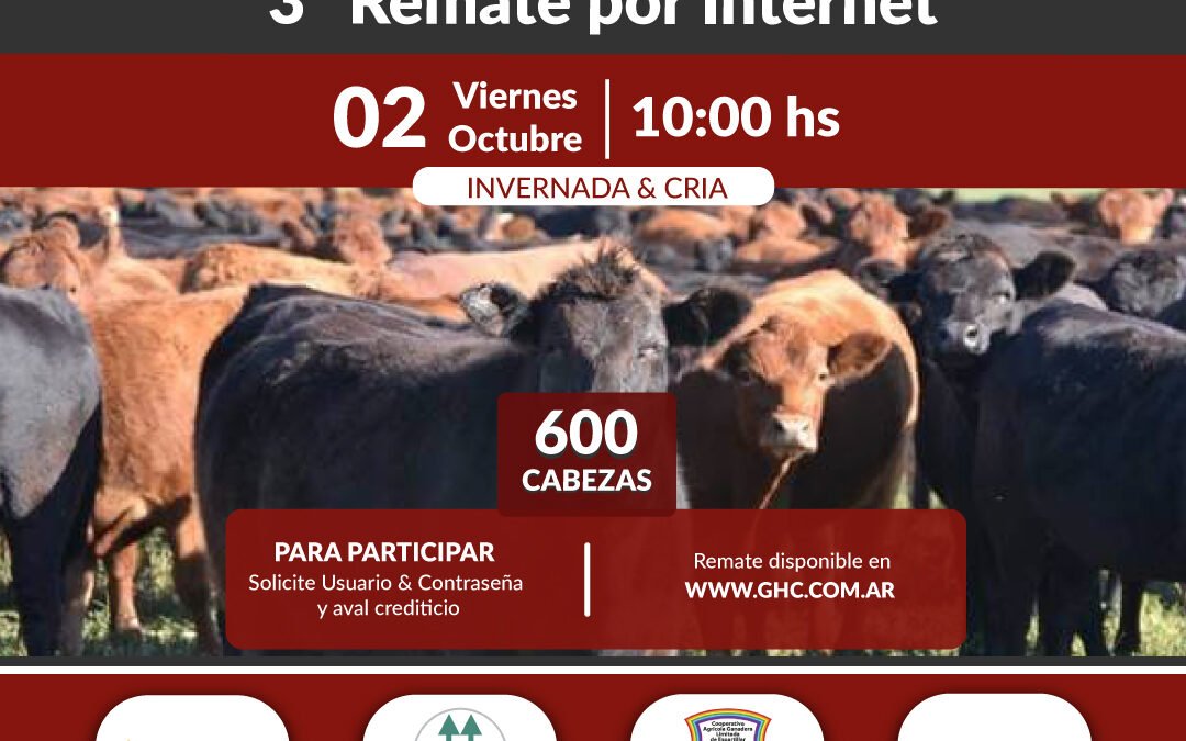 3° Remate por Internet