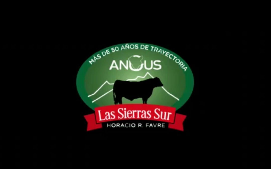 Cabaña Las Sierras Sur
