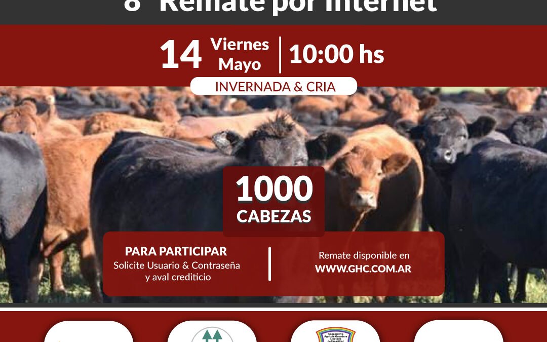 8° Remate por Internet