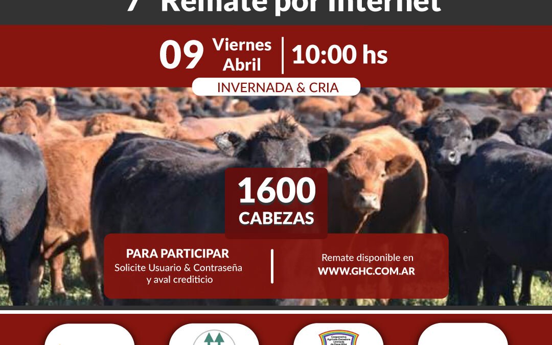 7° Remate por Internet