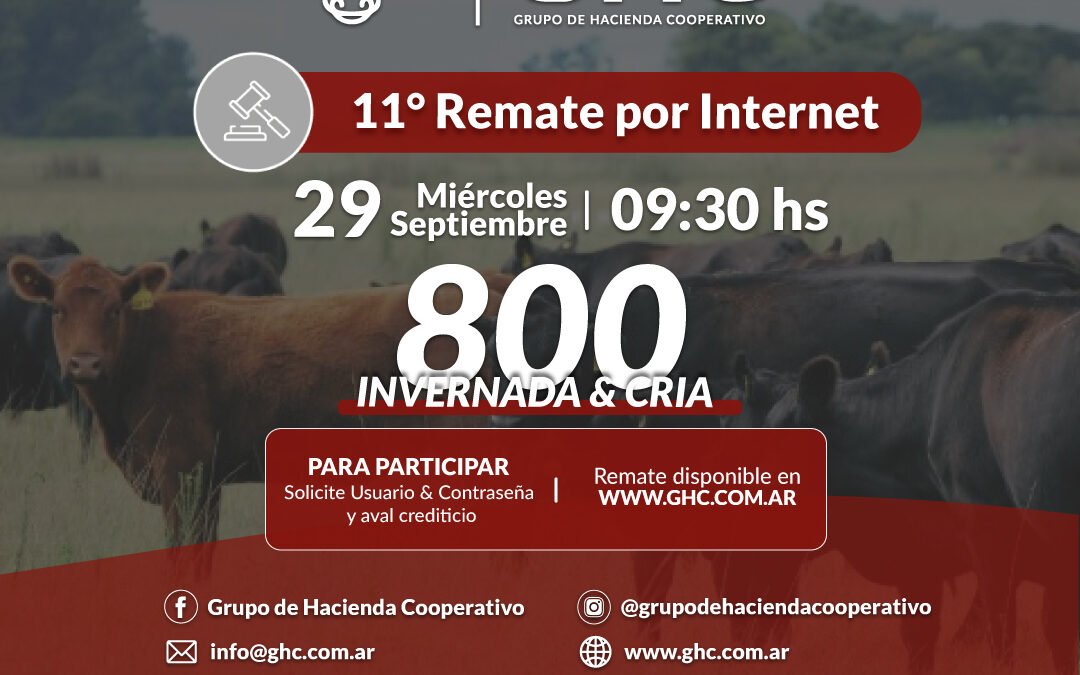 11° Remate por Internet