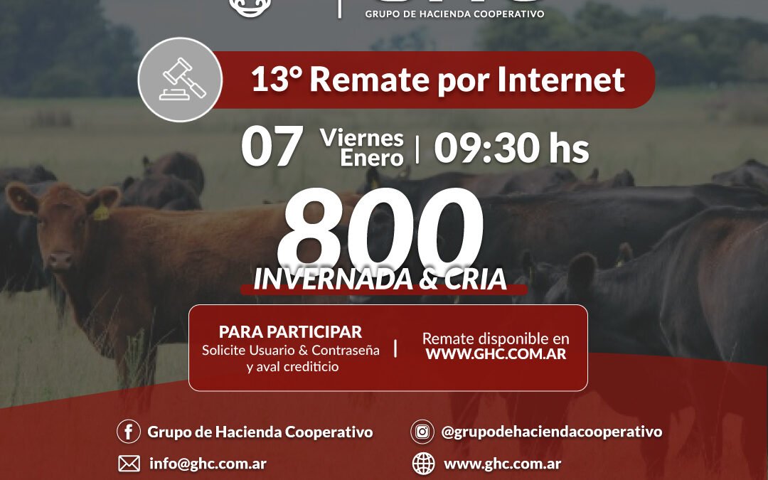 13° Remate por Internet