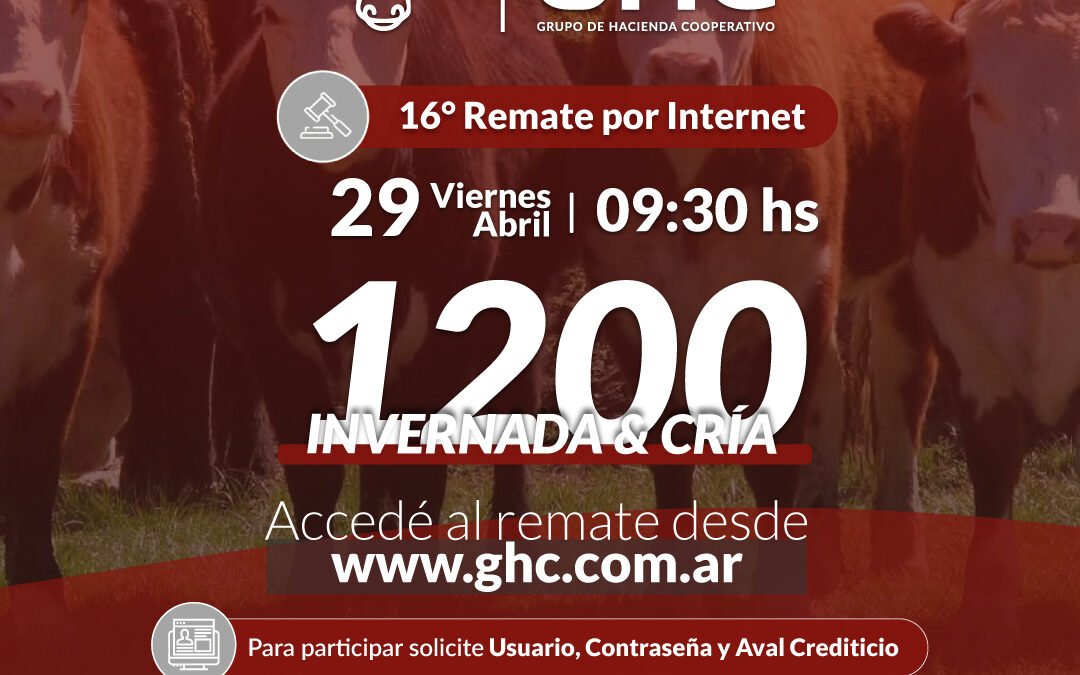 16° Remate por Internet