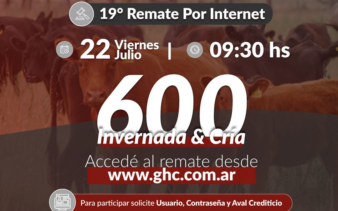 19° Remate Por Internet
