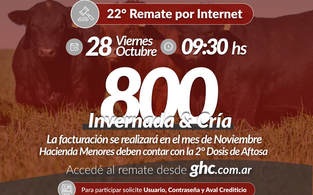 22° Remate Por Internet