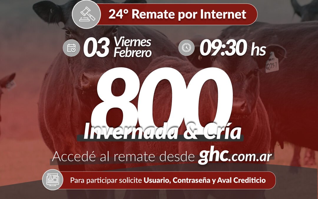 24° Remate Por Internet
