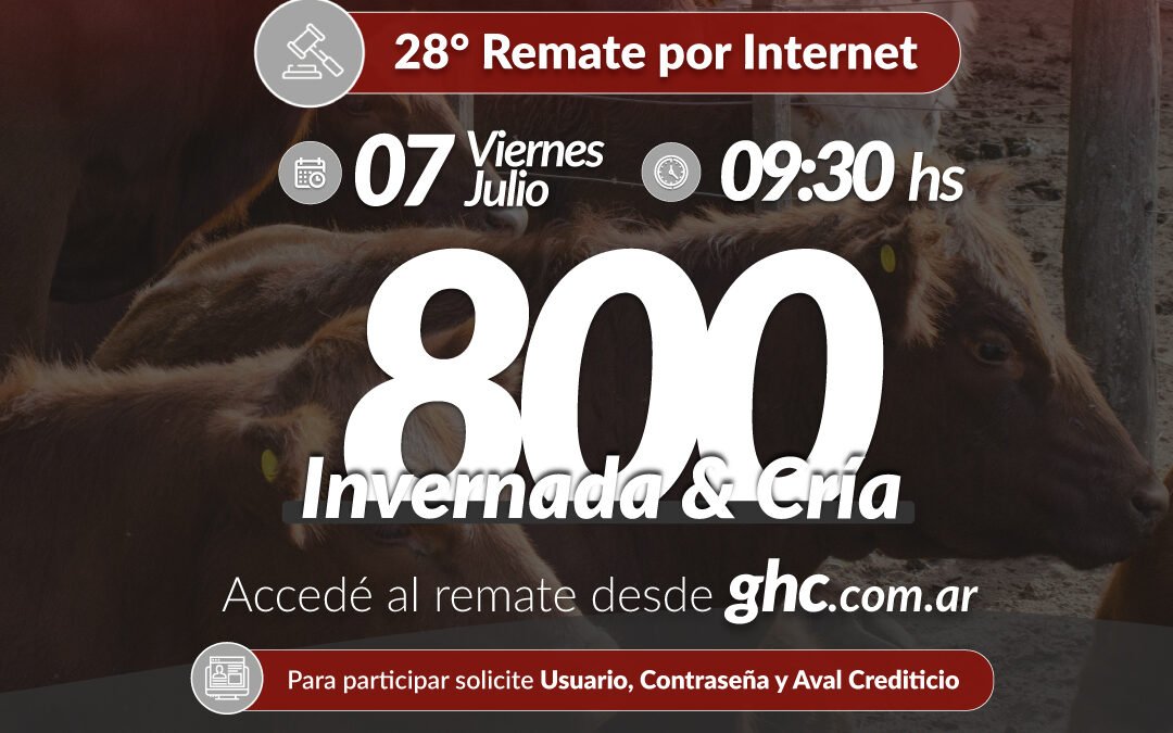 28° Remate Por Internet