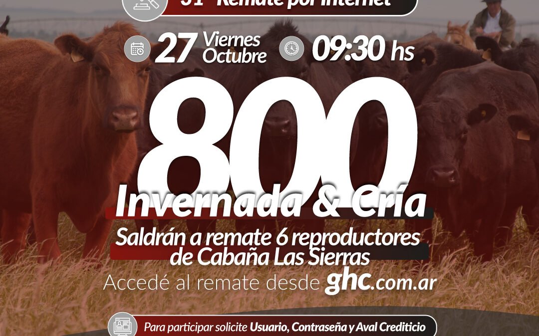 31° Remate por Internet