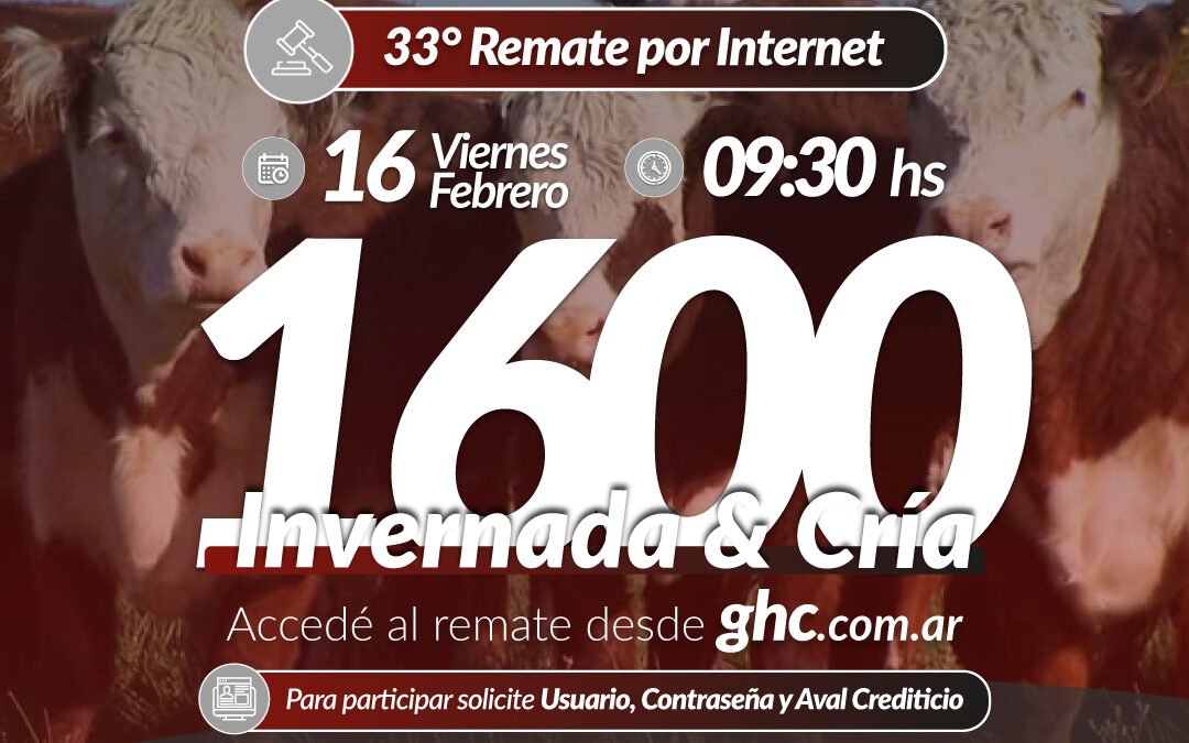 33° Remate Por Internet