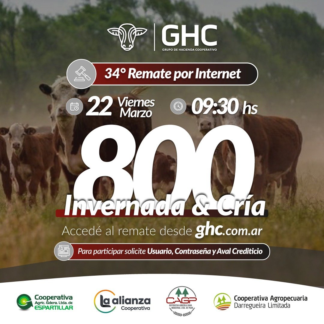 GHC-25°-Remate-x-Internet