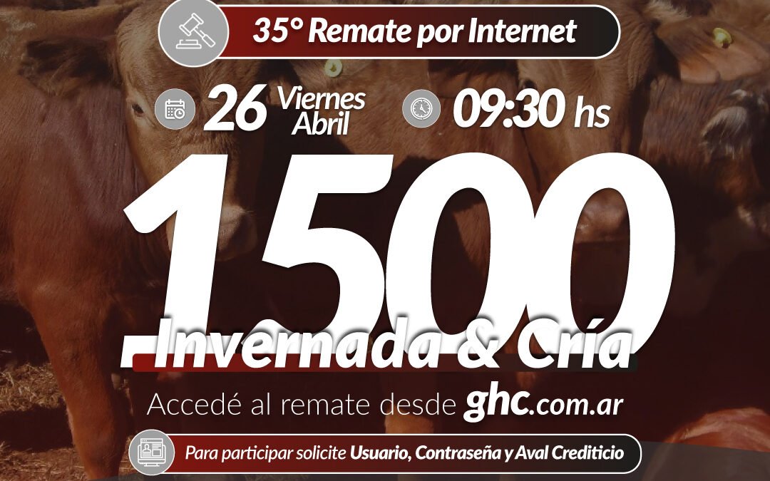 35° Remate Por Internet