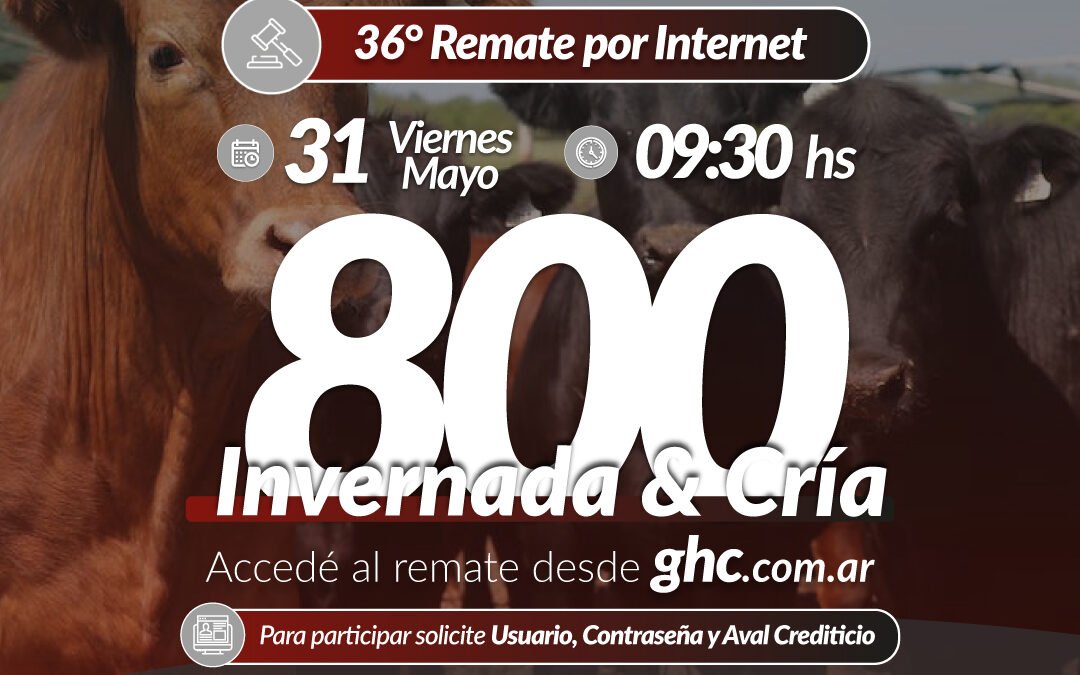 36° Remate Por Internet