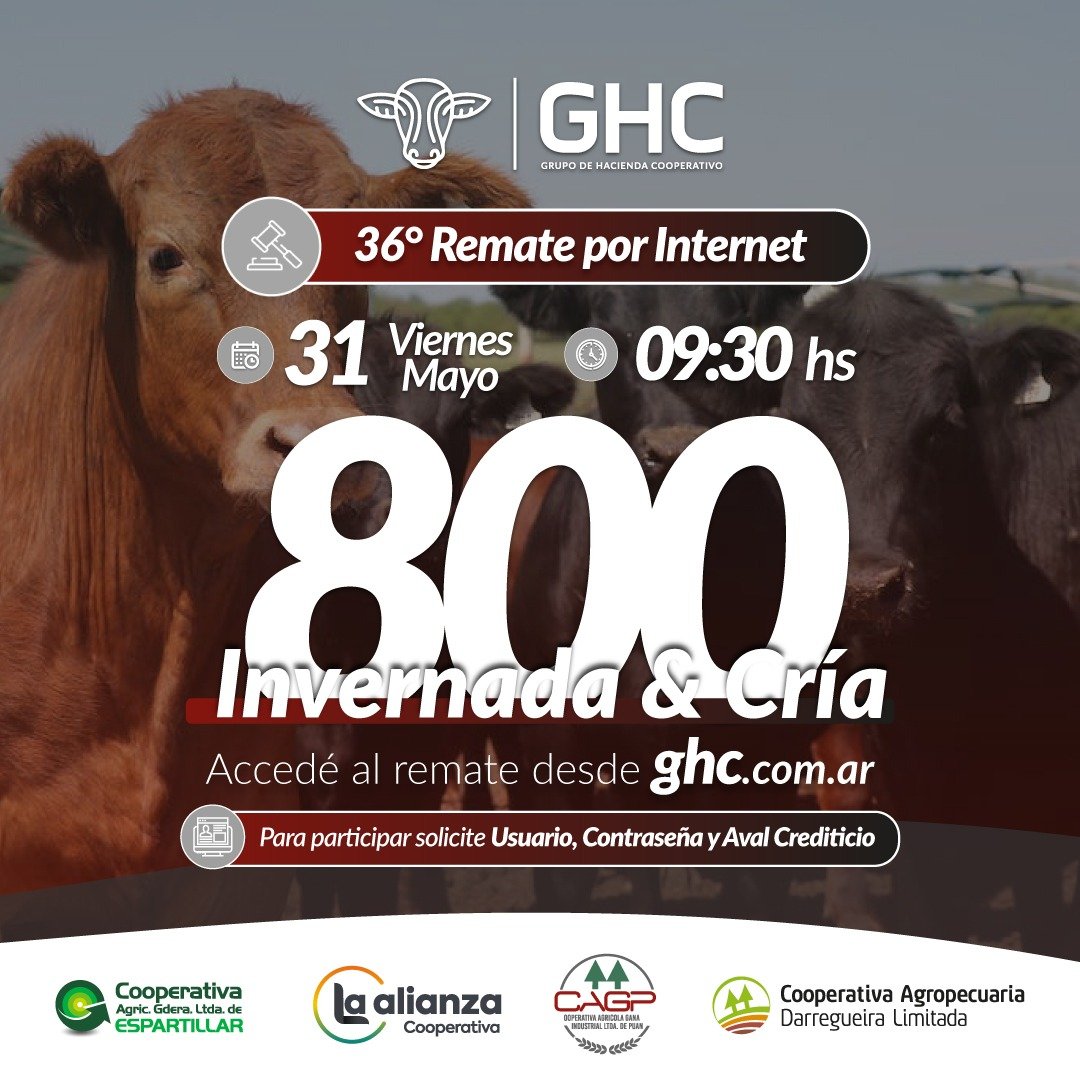 GHC-25°-Remate-x-Internet