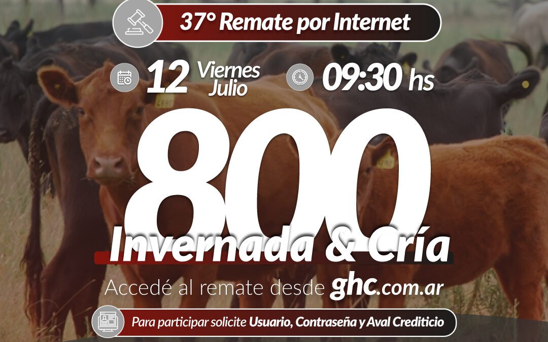 37° Remate Por Internet