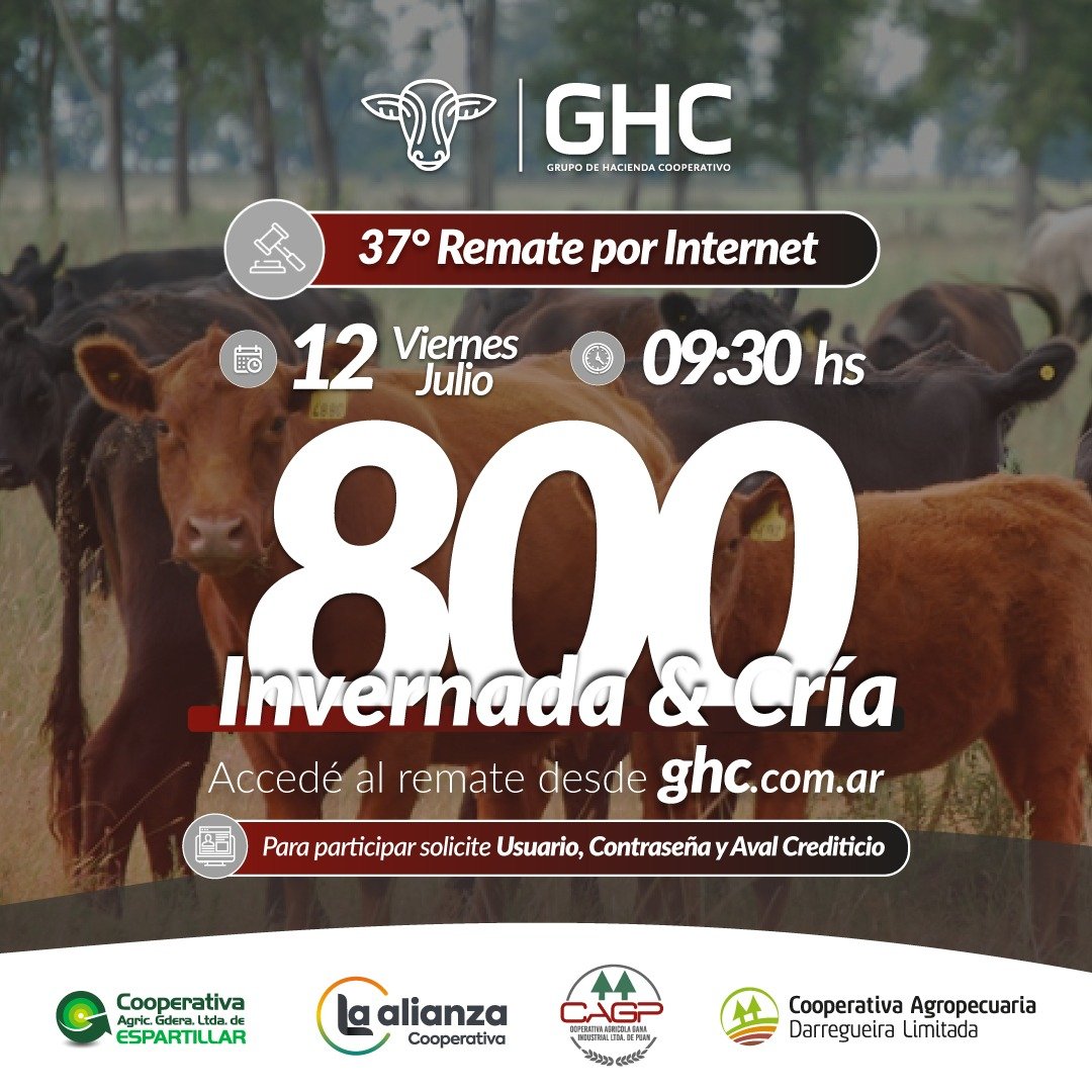 GHC-25°-Remate-x-Internet