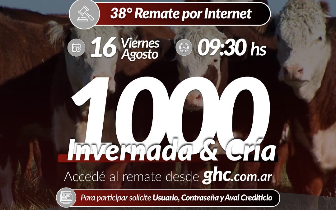 38° Remate Por Internet