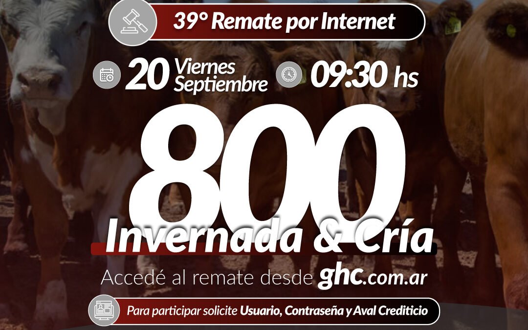 39° Remate Por Internet