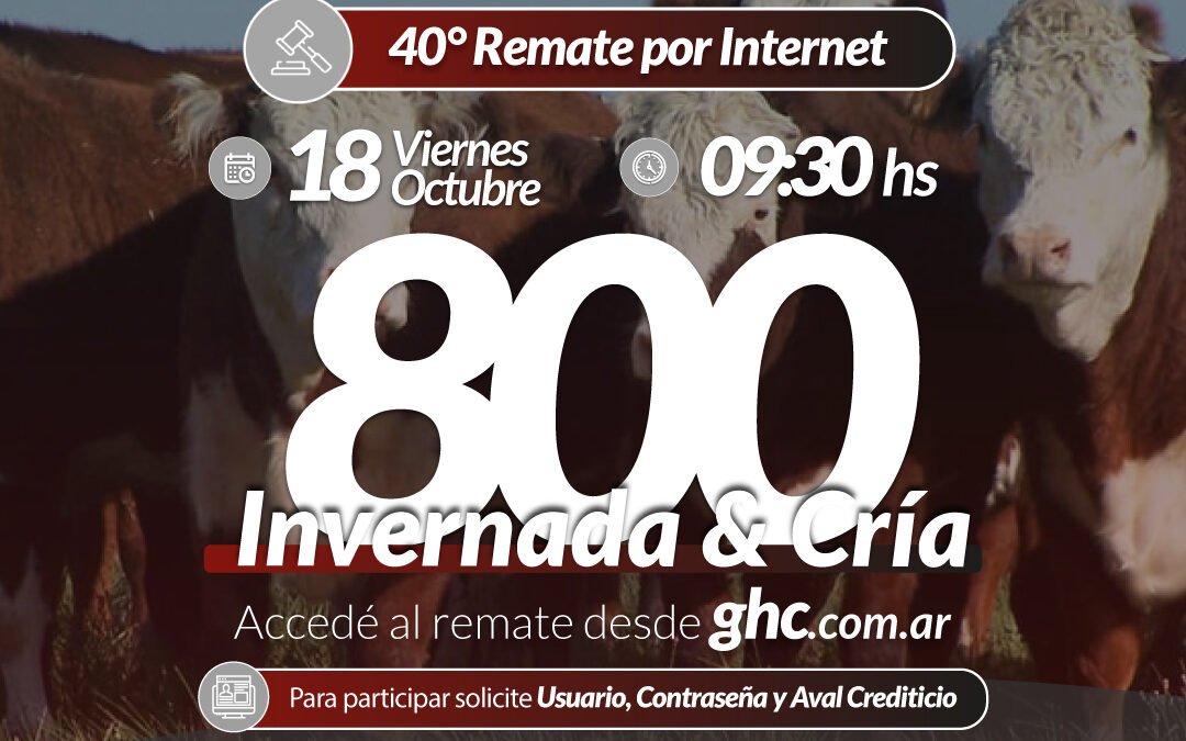 40° Remate Por Internet