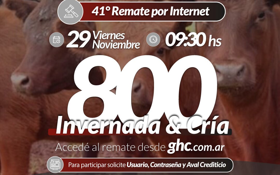 41° Remate Por Internet