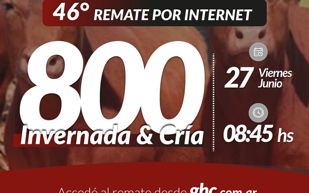 46° Remate Por Internet