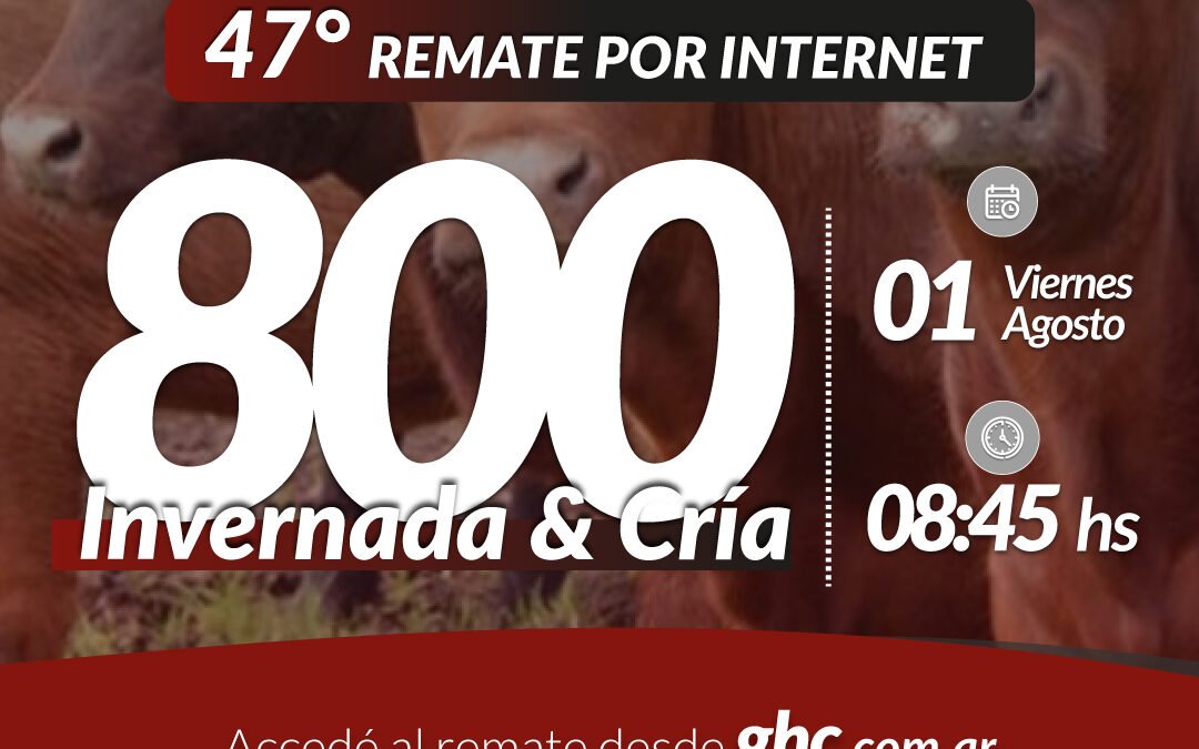 47° Remate Por Internet