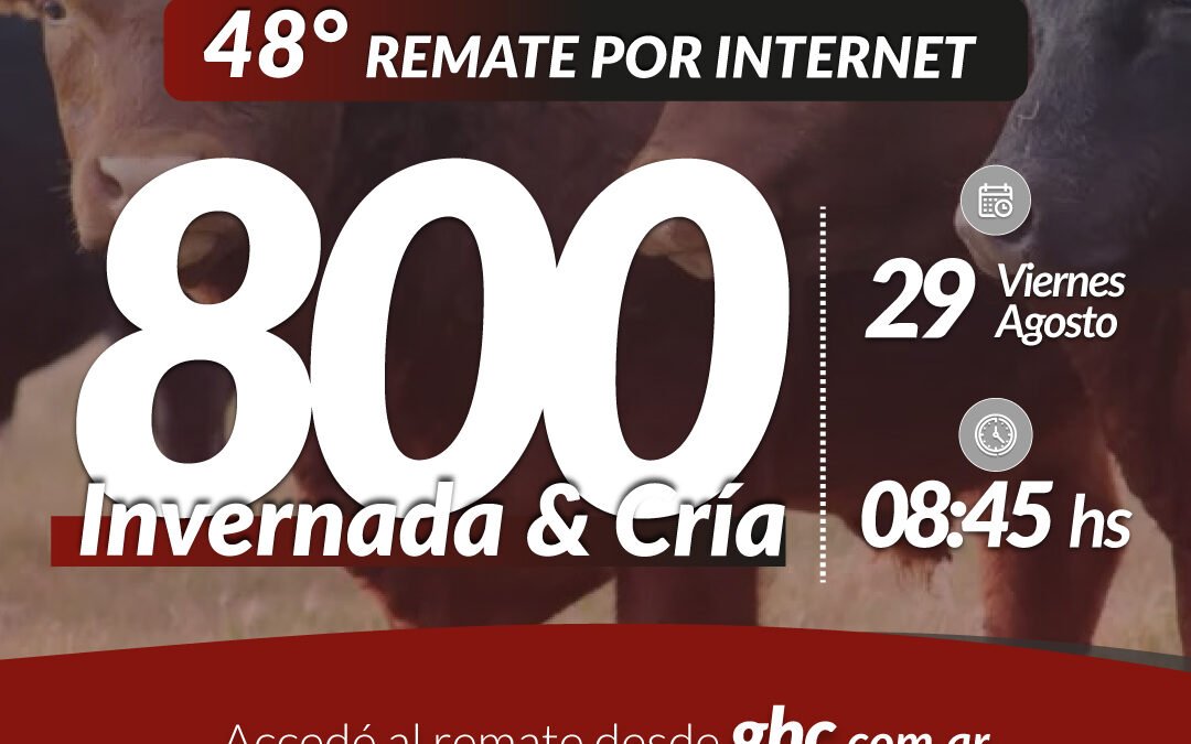 48° Remate Por Internet