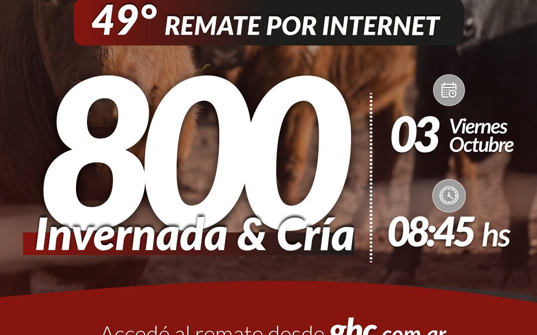 49° Remate Por Internet