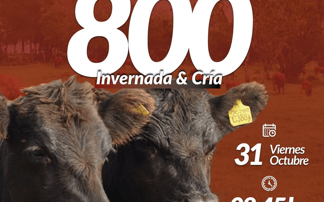 50° Remate Por Internet