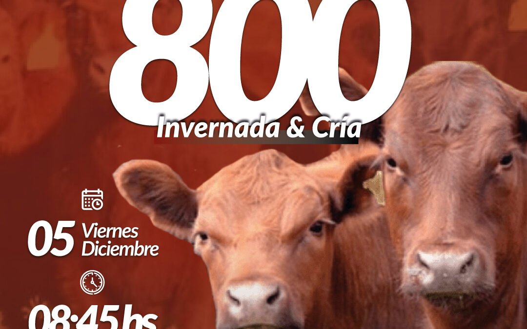 51° Remate Por Internet