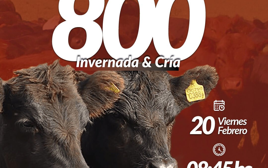 52° Remate Por Internet