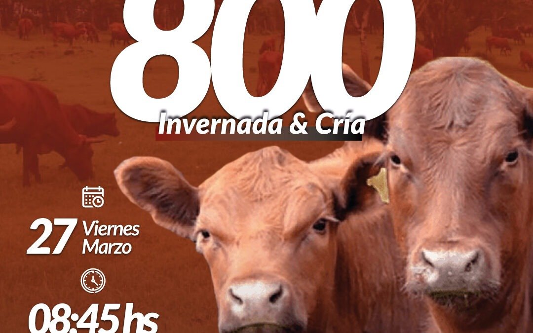 53° Remate Por Internet