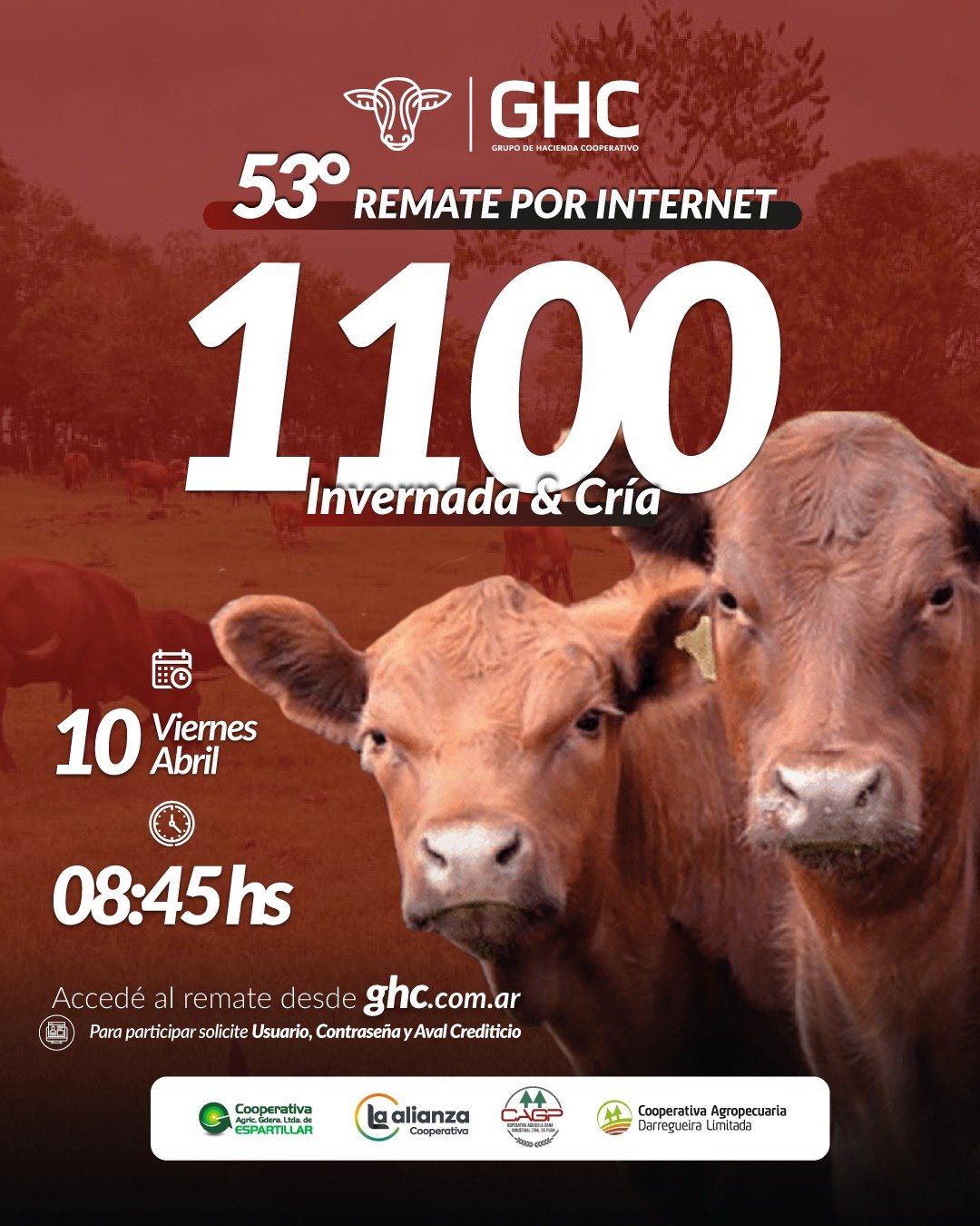 Feed-1000