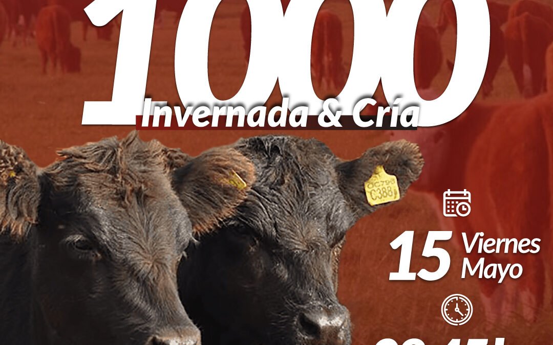54° Remate por Internet