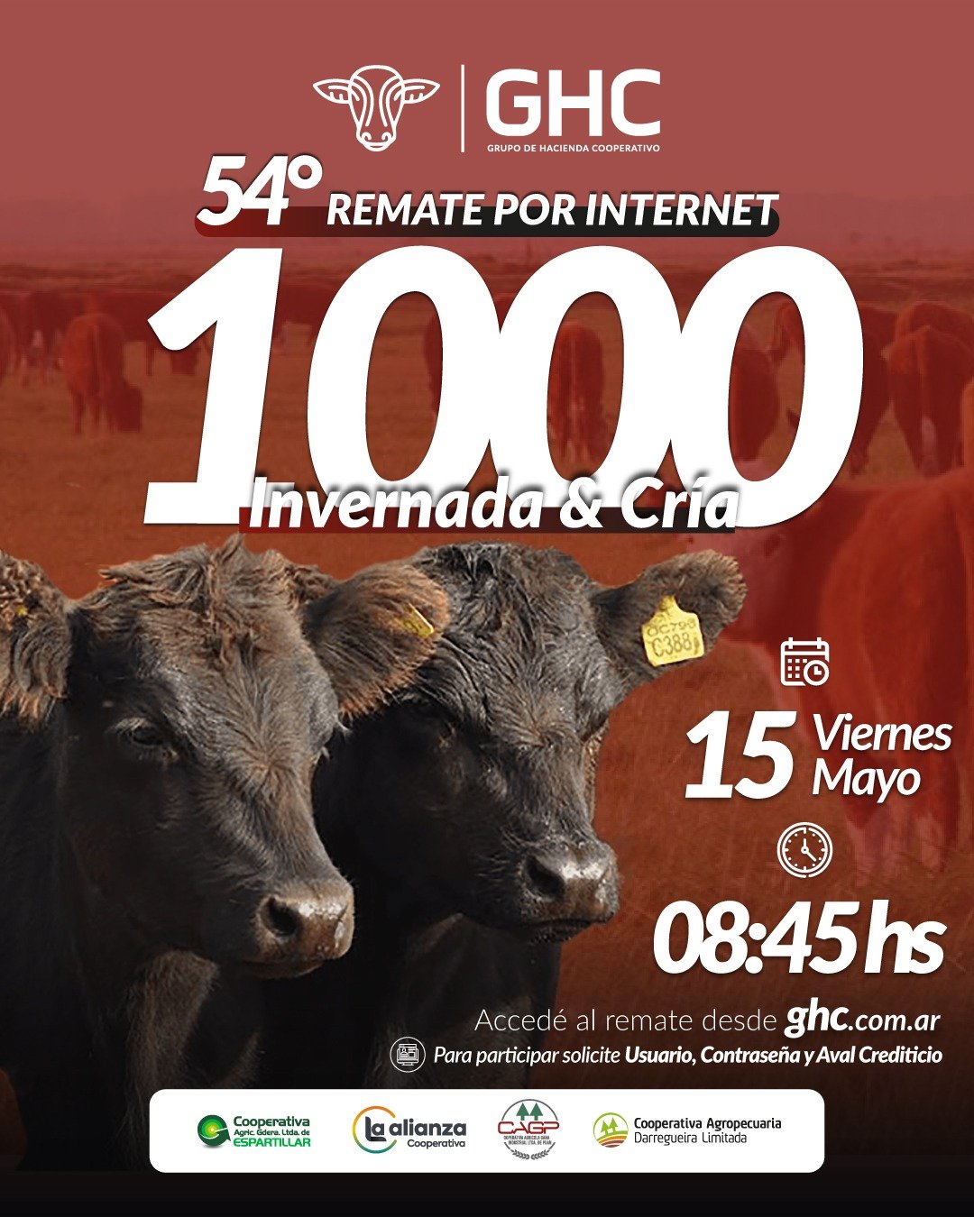 54-remate-por-internet-feed1000