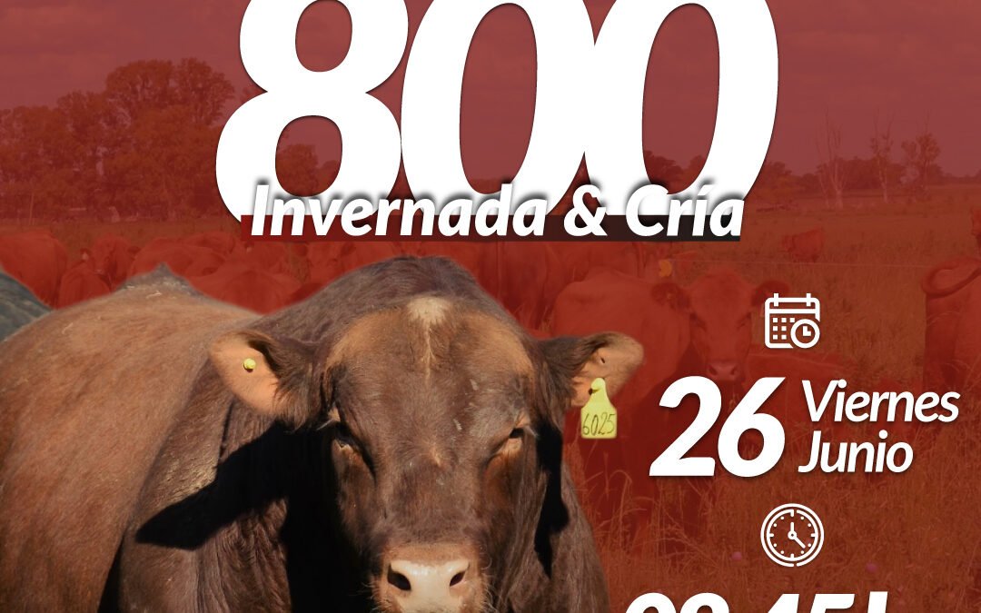 55° Remate Por Internet