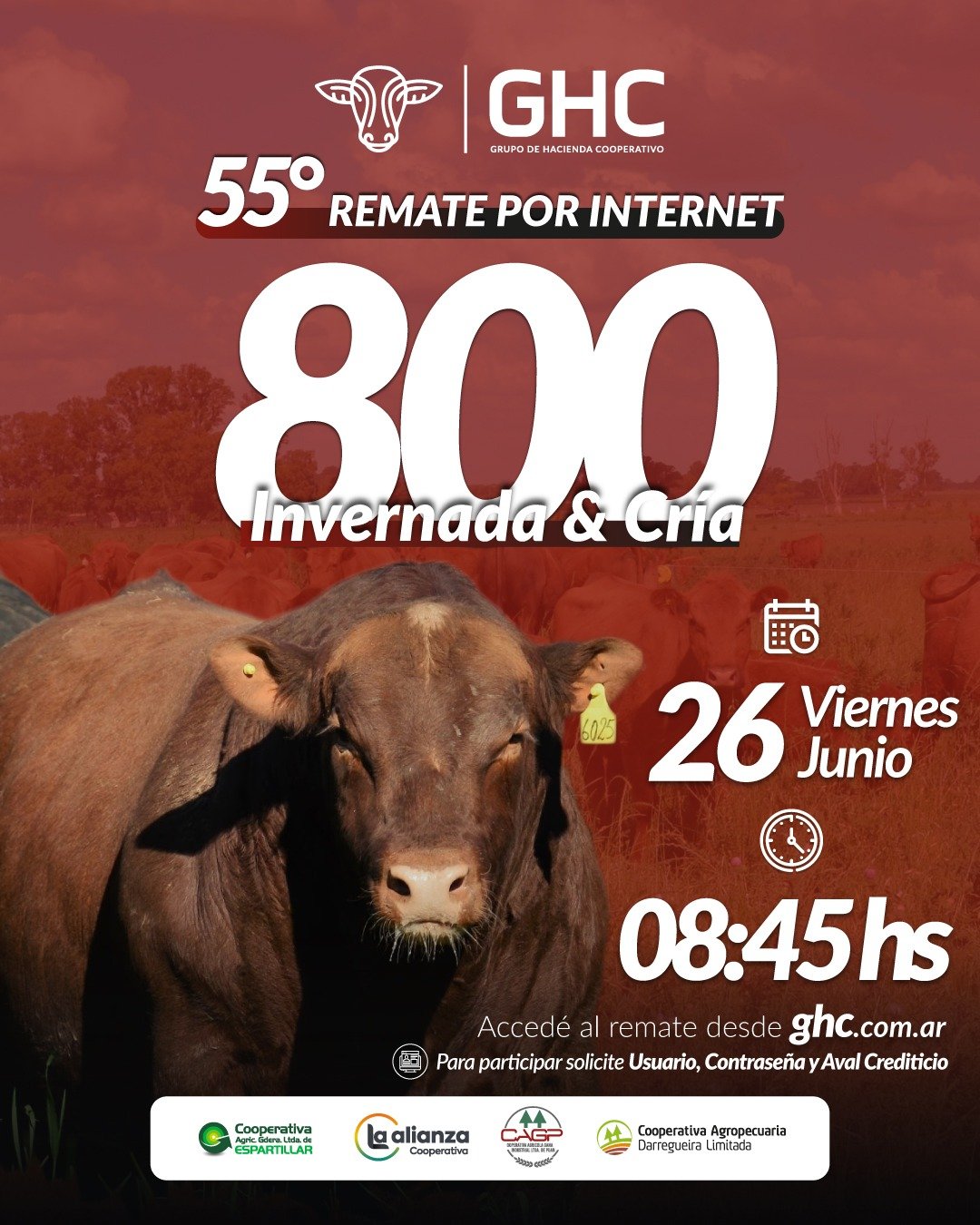 55-remate-por-internet-feed