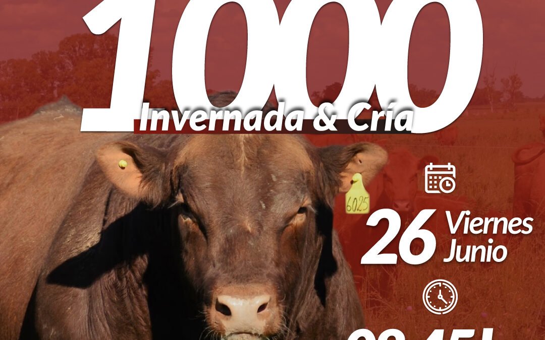 55° Remate Por Internet