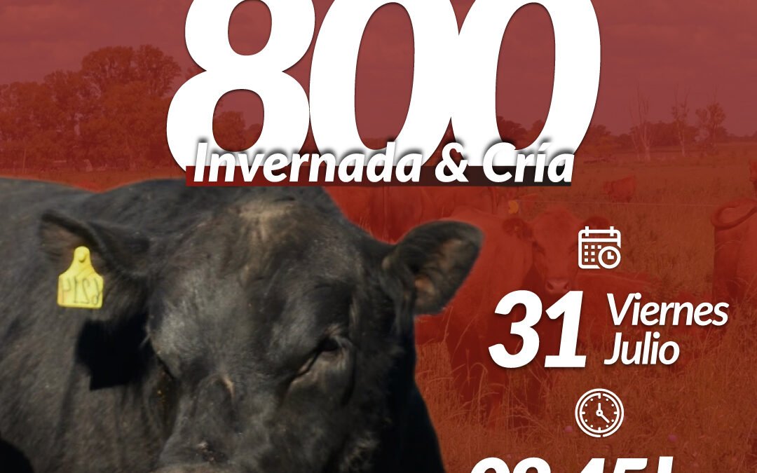 56° Remate Por Internet