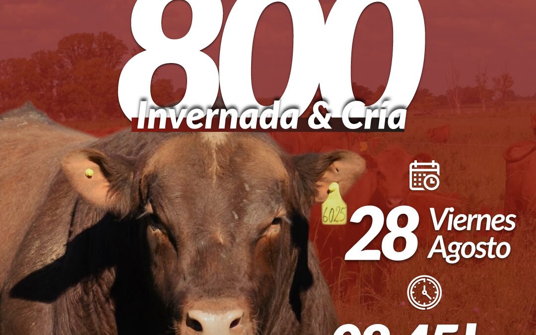 57° Remate Por Internet