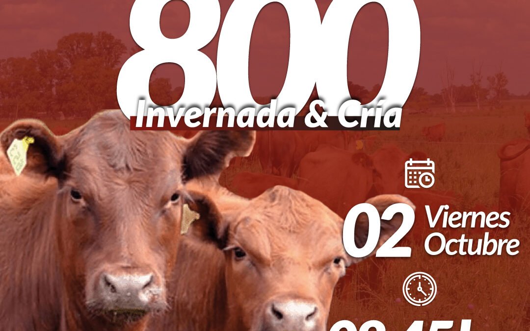 58° Remate Por Internet