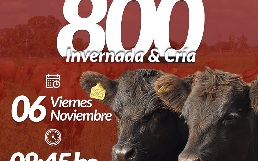 59° Remate Por Internet