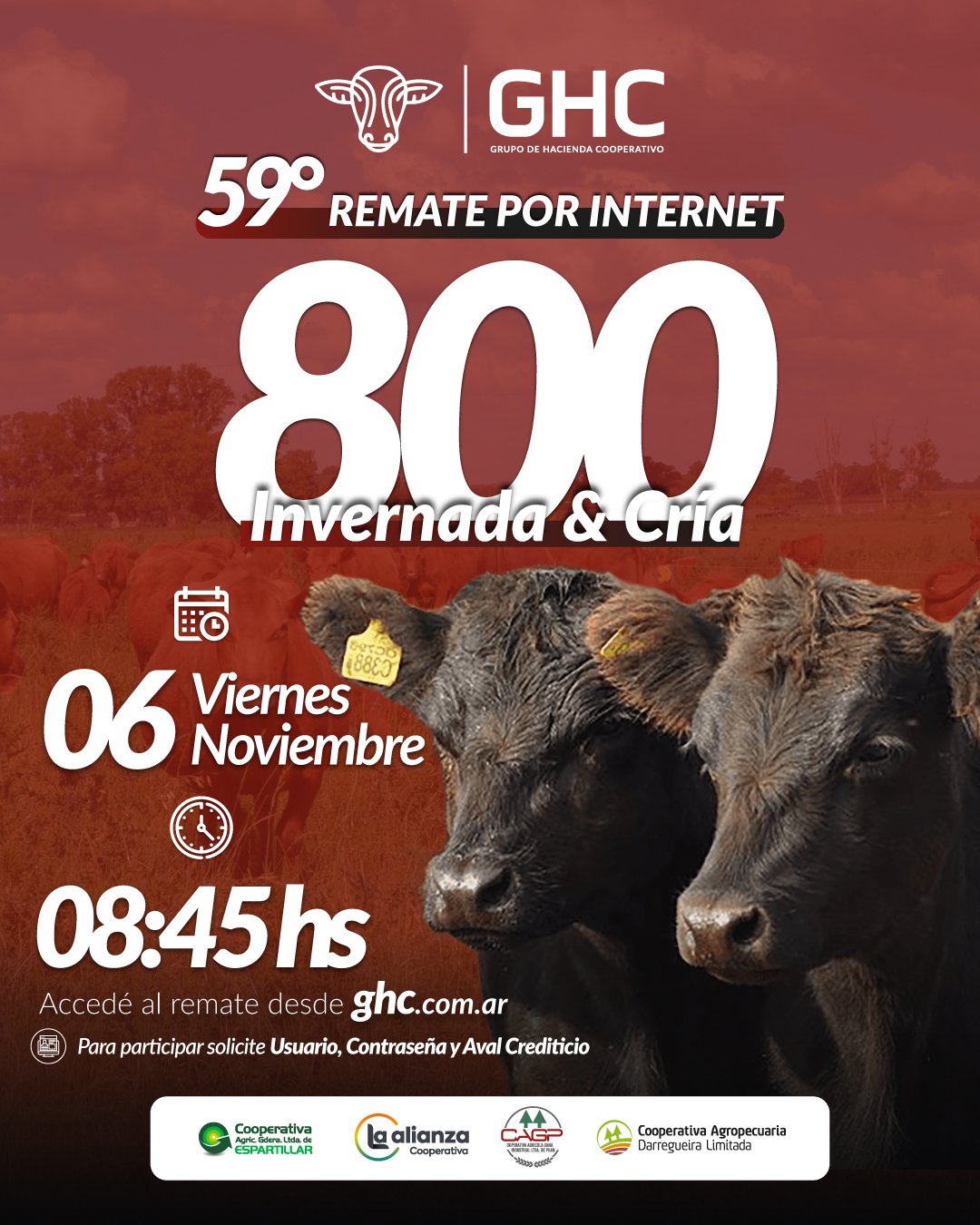 59-remate-por-internet-feed